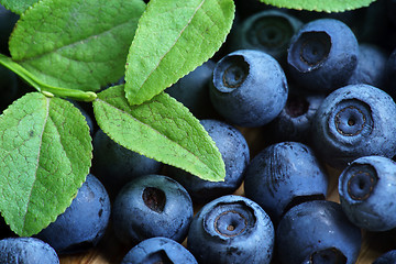 Image showing Bilberry Close Up