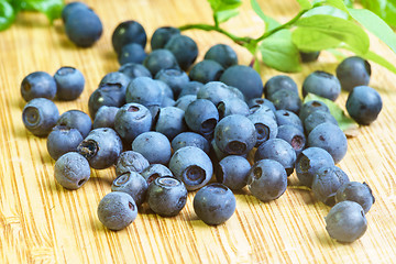 Image showing Bilberry Close Up