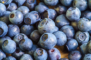 Image showing Bilberry Close Up