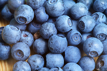 Image showing Bilberry Close Up