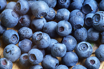 Image showing Bilberry Close Up