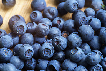 Image showing Bilberry Close Up