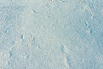 Image showing Snow Background Texture