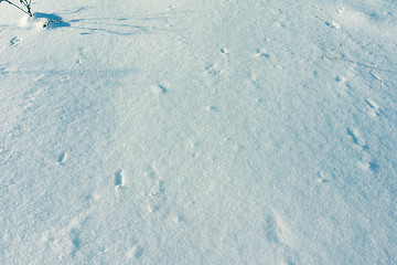 Image showing Snow Background Texture