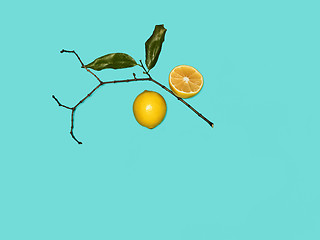 Image showing The fresh lemons on blue background