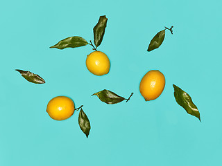 Image showing The fresh lemons on blue background