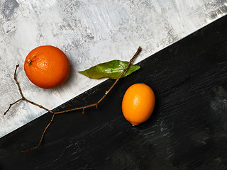 Image showing The group of fresh fruits