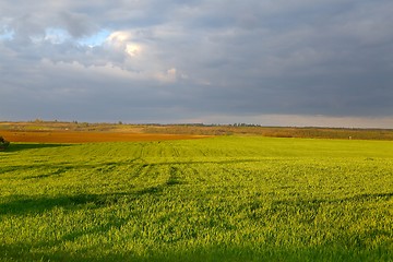 Image showing Agircutural landscape with clouds