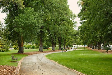 Image showing Green park with trees