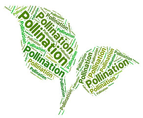 Image showing Pollination Word Indicates Procreation Pollinate And Pollen