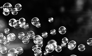 Image showing Soap bubbles