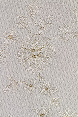 Image showing Special lace