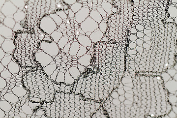 Image showing Special lace