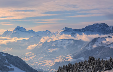 Image showing Winter Landscape