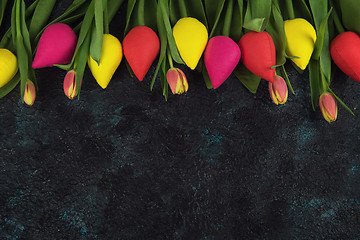 Image showing Handmade and real tulips on darken