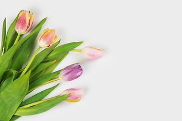 Image showing Tulips on darken concrete background