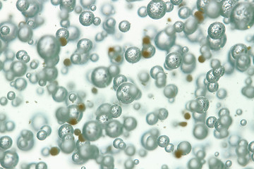 Image showing water oxygen bubbles texture