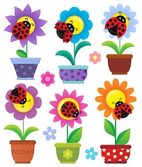 Image showing Flowerpots with flowers and ladybugs