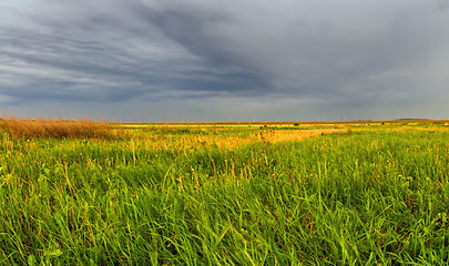 Image showing Summer Field Before A Thunderstorm