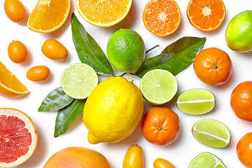 Image showing various citrus fruits