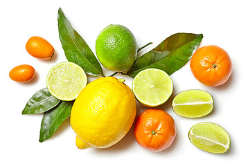 Image showing various citrus fruits on white background