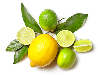 Image showing various citrus fruits on white background