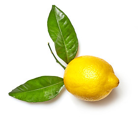 Image showing fresh lemon on white background
