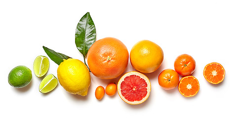 Image showing various citrus fruits