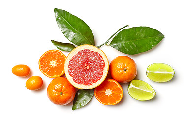 Image showing various citrus fruits