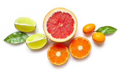 Image showing various citrus fruits on white background