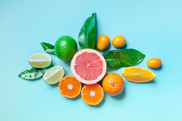 Image showing various citrus fruits 