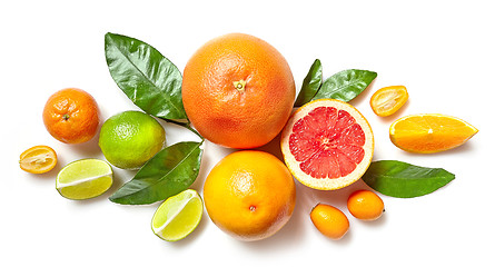 Image showing various citrus fruits on white background