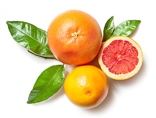 Image showing grapefruits on white background