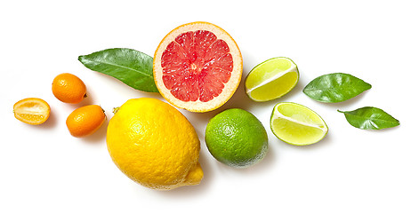 Image showing various citrus fruits on white background