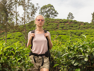 Image showing Female tourist enjoying beautiful nature of tea plantations, Sri Lanka.