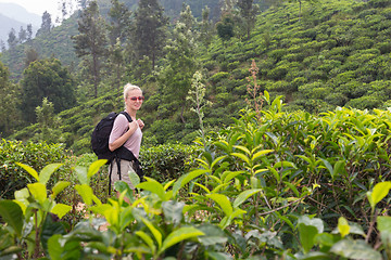 Image showing Female tourist enjoying beautiful nature of tea plantations, Sri Lanka.