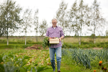 Image showing old man with box of vegetables at farm garden