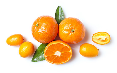 Image showing fresh clementines and kumquats