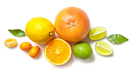 Image showing various citrus fruits on white background