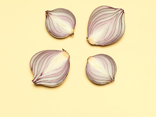 Image showing Red onion on a yellow background