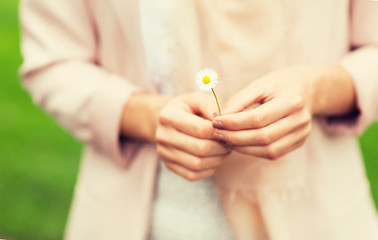 Image showing close up of woman hands with daisy flower