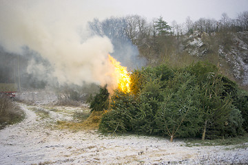 Image showing Christmas tree burning
