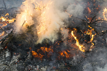Image showing Fire with smoke