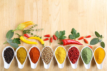 Image showing Spices.