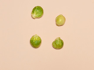 Image showing The piles of Brussels sprouts on a pink background