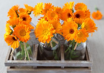 Image showing Marigolds.