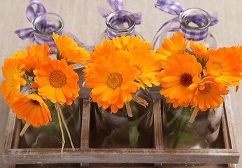 Image showing Marigolds.