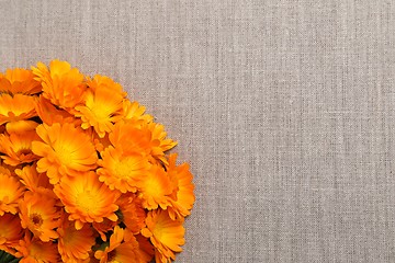 Image showing Marigolds.