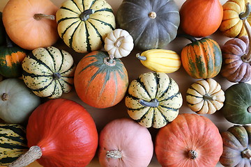 Image showing Squash and pumpkins.