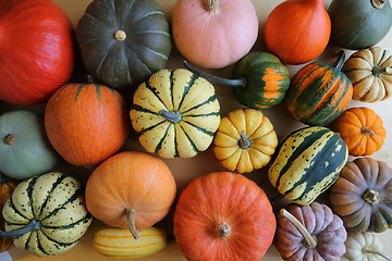 Image showing Squash and pumpkins.